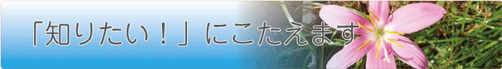 知りたいにこたえます