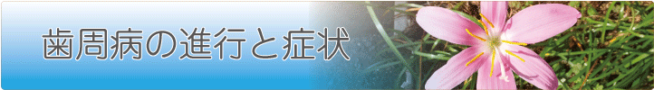 歯周病の進行と症状