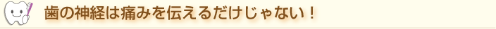 歯の神経は痛みを伝えるだけじゃない！